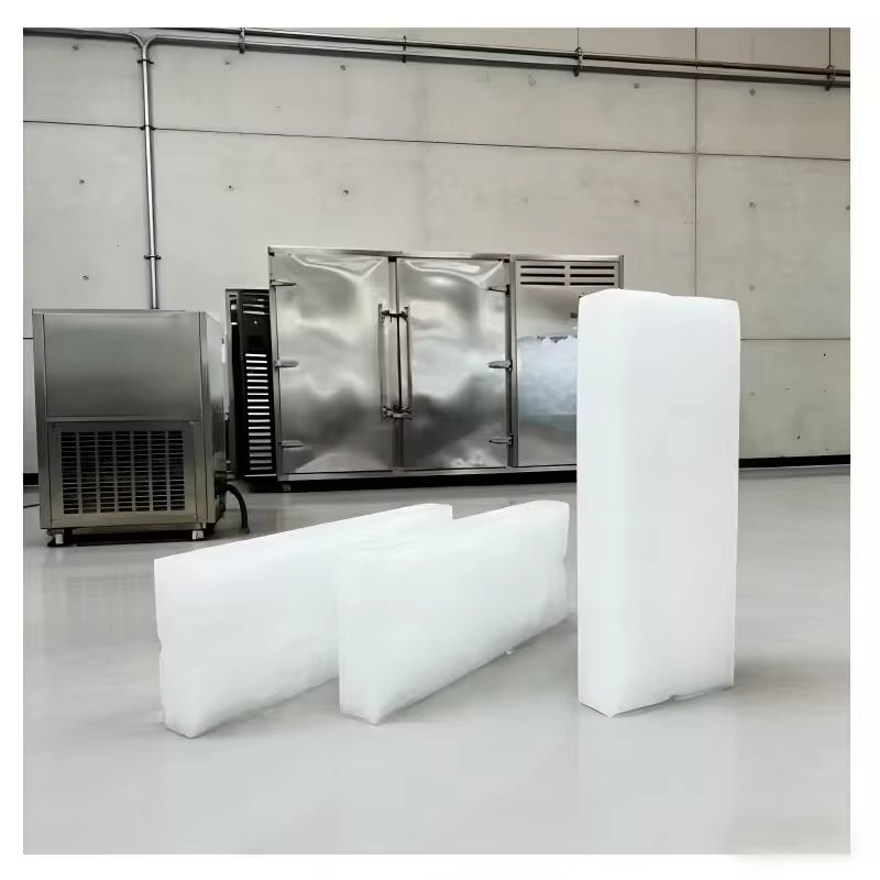 Kompletna mała maszyna do lodu – Block Ice Machine 1 Ton recenzja i cena